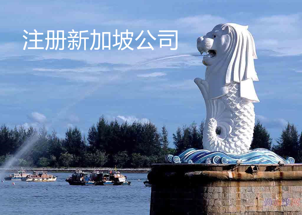 注冊新加坡公司的常見問題